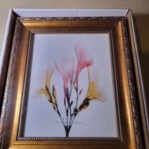 Two Gold Ornate 8 X 10 Picture Frame